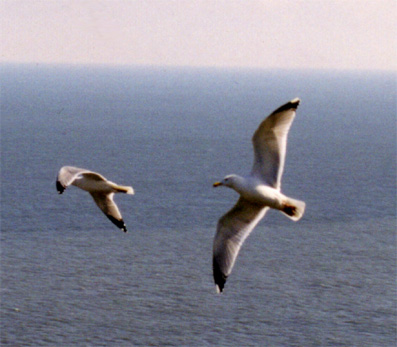 Air 